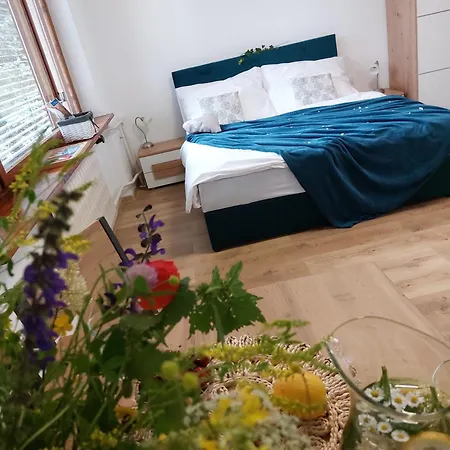 V Bojniciach - Apartment *