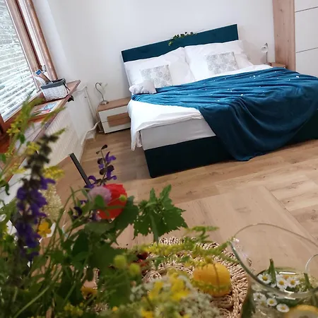 V Bojniciach - Apartment *